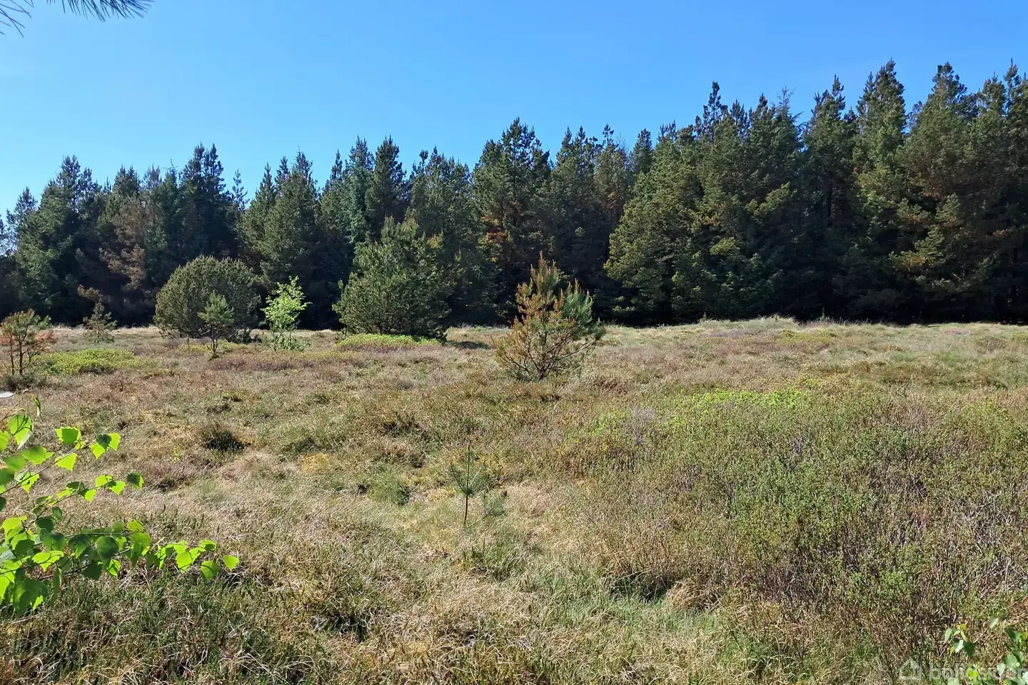 Fritidsgrund på Minesvej 10, 7741 Frøstrup