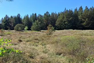 Fritidsgrund på Minesvej 10, Nørklit, 7741 Frøstrup