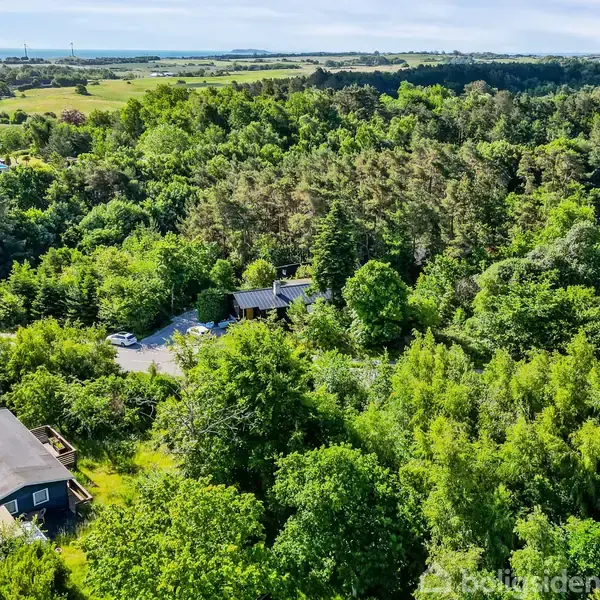 En række huse er spredt blandt tæt skovbevoksning. Huse ligger langs en vej set fra luften. Landskabet omkring er frodigt og kuperet med blåt himmelloft i baggrunden.