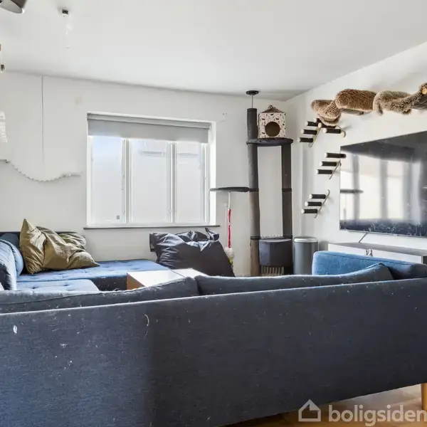 En mørkeblå hjørnesofa står i en stue med parketgulv. En stor fladskærm hænger på væggen, og der er dyngetæpper på en høj hylde. Et kradsetræ ses ved vinduet.