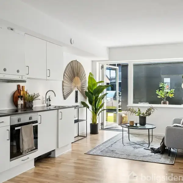 Køkken-stueområde med hvide skabe og en indbygget ovn til venstre, en grå sofa og sofabord til højre, store vinduer samt planter i krukker.