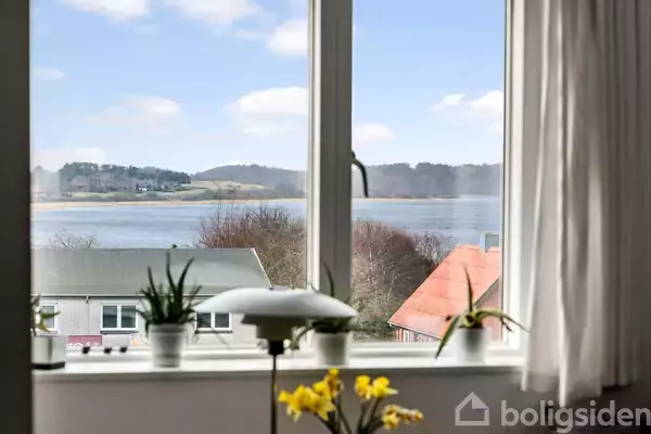 Vindue med udsigt over en fredelig bugt og bakkede landskaber. Indendørs er planter og blomster arrangeret på vindueskarmen.