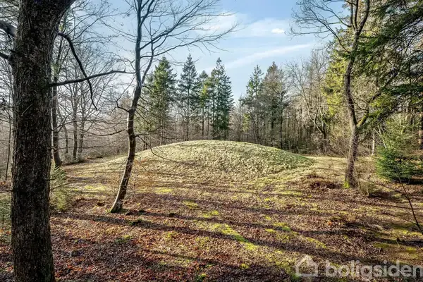 Planteavlsgård/-jord på Lundvej 0, 6800 Varde