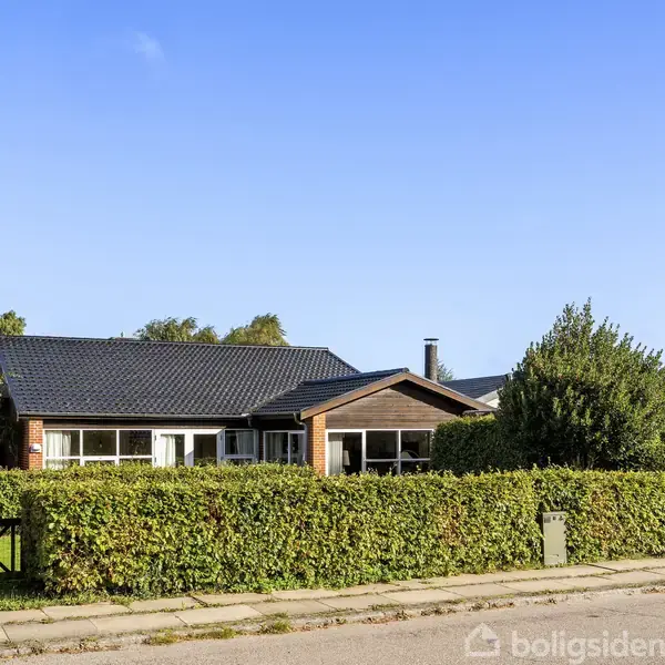 En lav, moderne villa med sort tag står stille bag en grøn hæk. Villaen er omringet af træer. Gaden foran er tom under en klar blå himmel.