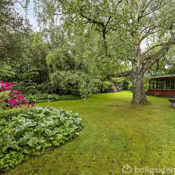 Stor have med frodigt grønt græs og blomstrende buske, domineret af et stort træ. En rød bygning ses til højre.