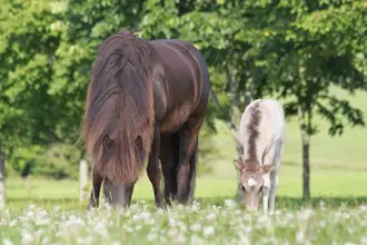 Landejendom på Ulkærvej 25, Grejs, 7100 Vejle