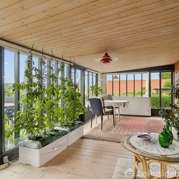 En overdækket veranda med store vinduer, hvor planter hænger fra loftet i potter. Et lille bord står i forgrunden, og i baggrunden er der et spisebord med stole.