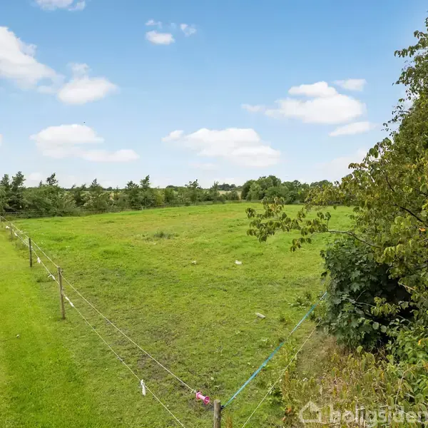 En grusvej løber langs en grøn mark omgivet af buske og træer under en klar blå himmel med skyer.