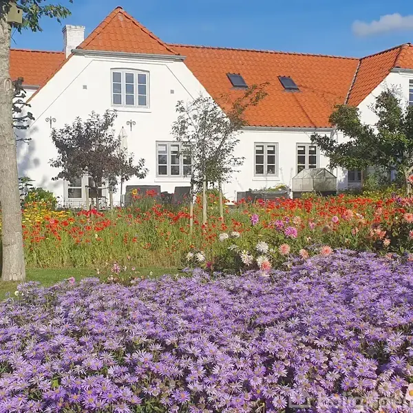 Et hvidt hus med rødt tegltag står bagved en farverig have fyldt med lilla og røde blomster. Omkringliggende græs og små træer skaber et idyllisk landskab.