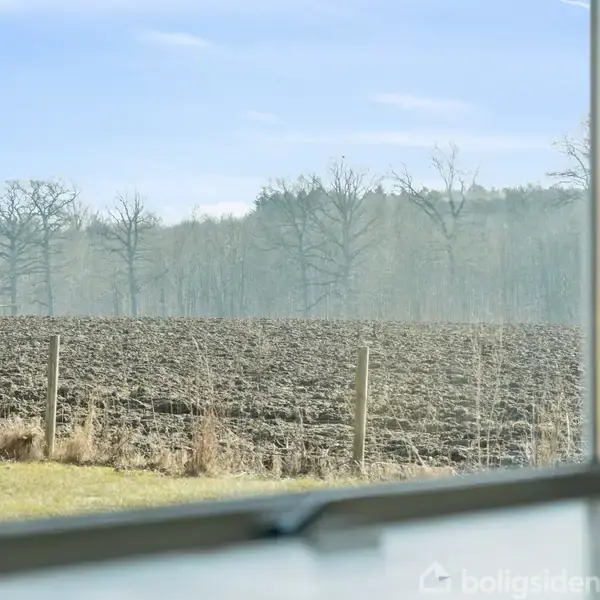 Mark set fra indersiden af et vindue. Jorden er nyligt pløjet, og træer står i baggrunden under en blå himmel.