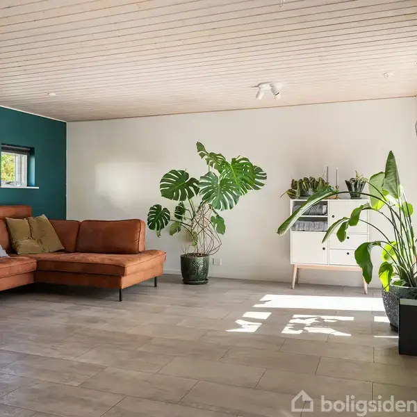 Brun sofa står i en lys stue med grønne vægge, flankeret af store grønne planter. Sollys strømmer ind gennem vinduet og rammer et hvidt skab med plantepynt.