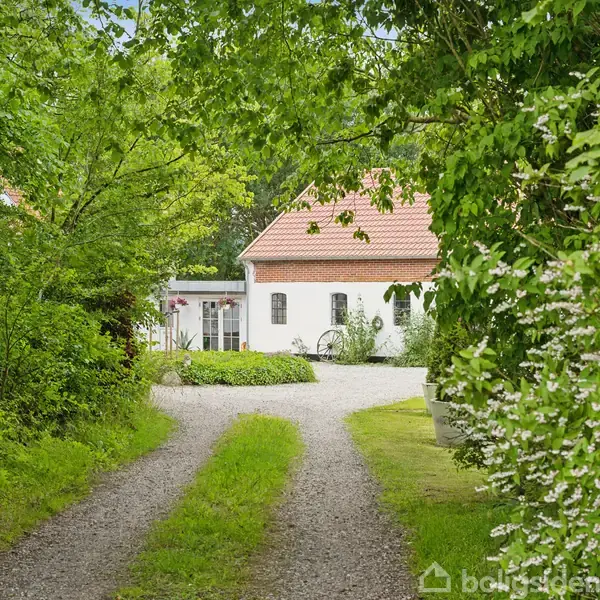 En hvid bygning med rødt tegltag står i baggrunden. Grusvej fører forbi tæt, grøn beplantning. Træer og buske omkranser vejen i en frodig, skovagtig have.
