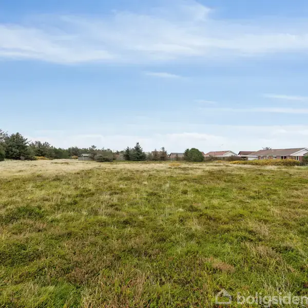 En åben græsmark med spredte buske og træer i baggrunden. I horisonten ses bygninger med røde tage. Himlen er klar med lette skyer.