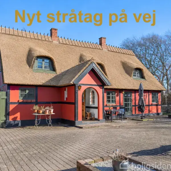 Stue med blå sofa og træstole står omkring et sofabord. Lamper og planter dekorerer rummet, der har store vinduer og lyst trægulv. Kunst hænger på væggene.
