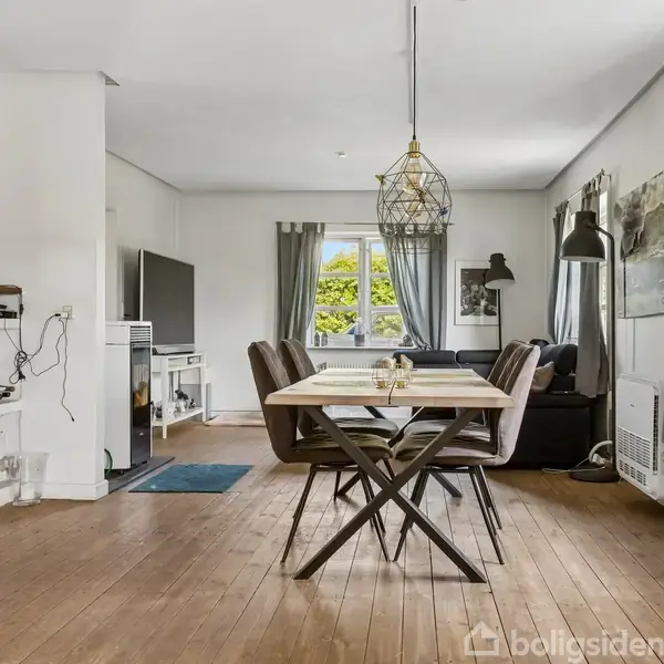 Bord med seks stole står i stue, belyst af en pendellampe. Venstre væg rummer hylder med planter og en sort-hvid kat. TV og sofa ses i baggrunden, vinduer med gardiner.