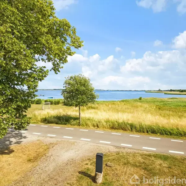 Et landskab viser en asfalteret vej foran en græsmark med en sø i baggrunden. Et stort træ står til venstre, og himlen er blå med få skyer.