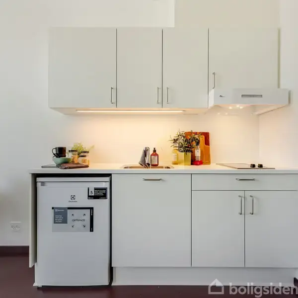 Et lille køkkenområde med hvide skabe og opvaskemaskine. Der er en kogeplade med to kogeplader, en emhætte ovenover, og bordpladen har køkkenredskaber og krydderier. Der står også en plante og en kop.