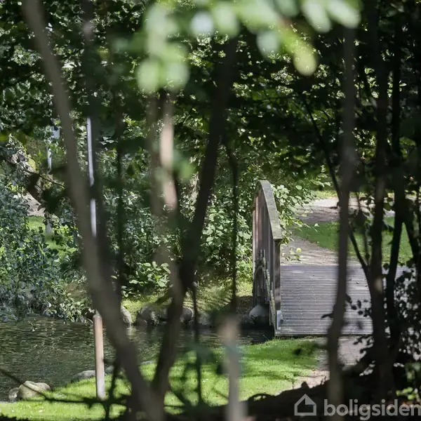 En træbro strækker sig over en lille sø, omkranset af frodige, grønne træer. Broen leder videre til en sti, der forsvinder blandt skovens tætte vegetation.