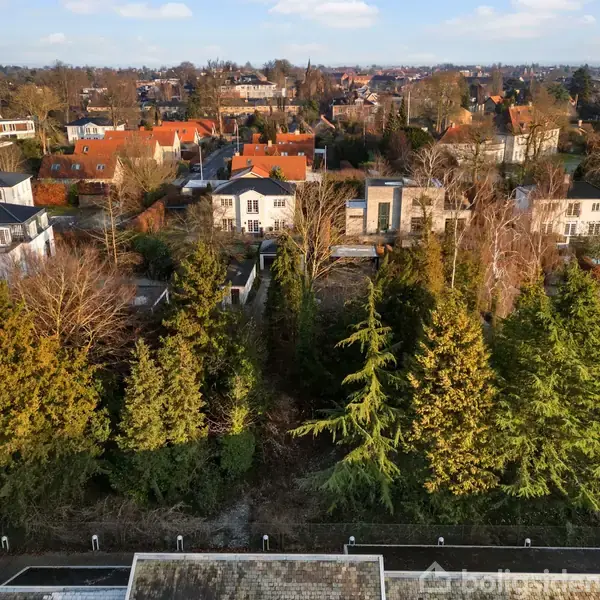 Skråvinkel udsigt viser tætte grønne træer i forgrund omgivet af store villaer med røde tage og moderne huse i en bymæssig boligområde på en klar dag.