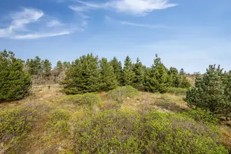 Fritidsgrund på Syrenvej 1, Stauning, 6900 Skjern