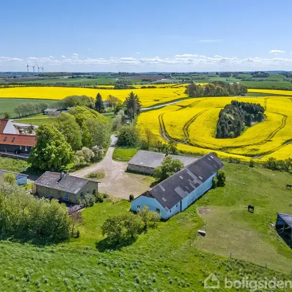 Gårde omgivet af grønne marker og gule rapsmarker om sommeren. Et par træer står langs en vej, der forbinder bygningerne i den danske landskab.