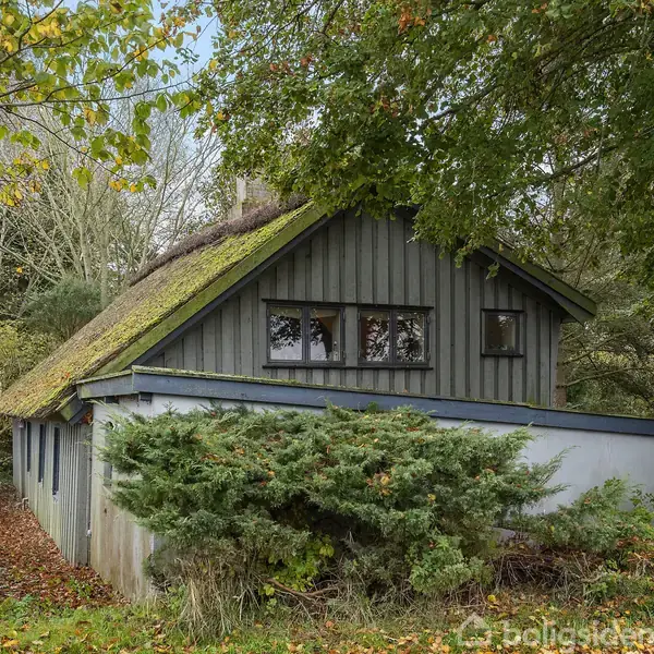 Et hus med stråtag står stille omgivet af tæt løv og træer. En stor busk dækker for husets facade. Baggrunden er præget af grøn natur og efterårsløv.