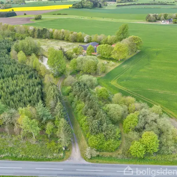 En landlig vej omkranset af grønne marker og en skovbevoksning med træer. I baggrunden ligger et hus omgivet af træer. Alt er set fra et fugleperspektiv.