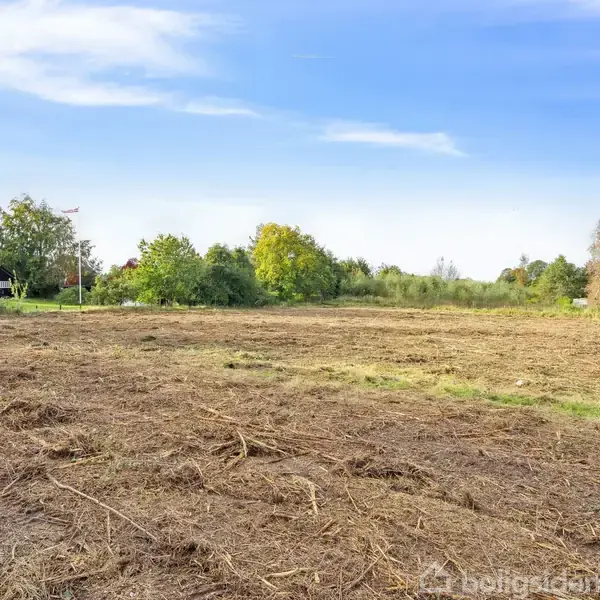 En åben, ryddet jordgrund ligger stille i en landlig omgivelse med spredte træer og nogle huse i baggrunden under en lys blå himmel.