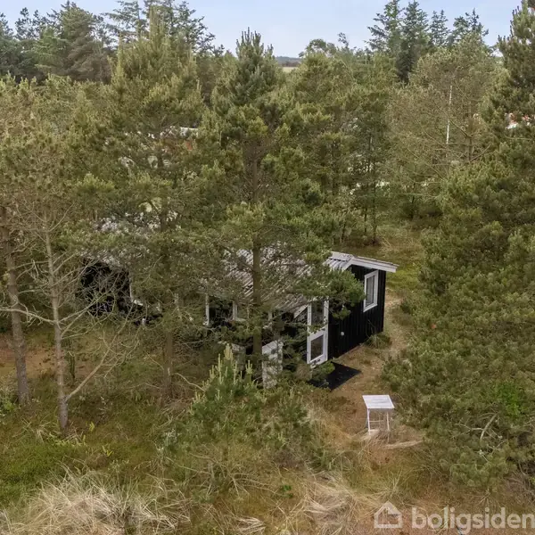 Et sort træhus står stille omgivet af høje træer i en skovklædt, naturlig landskab. Der er en klar himmel over området.