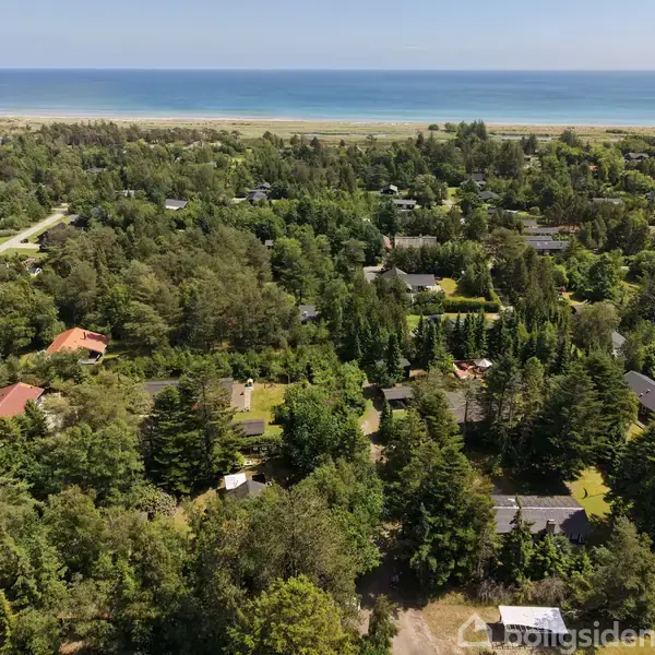 Luftfoto af grøn skov med spredte huse. I baggrunden ses en strand og havet. Der er ingen tekst bortset fra vandmærket, som skal ignoreres.