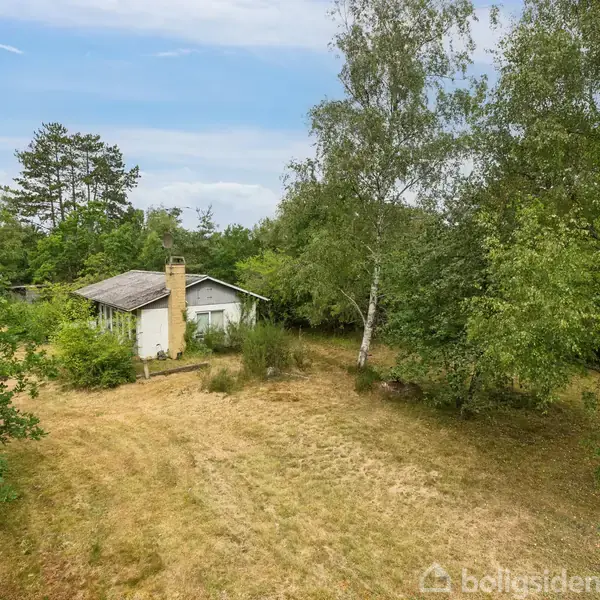 Et lille hus står stille omgivet af høje træer og en tør græsplæne under en blå himmel. Ingen tekst er til stede i billedet (bortset fra vandmærket).