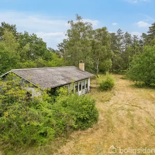 Et gammelt hus står stille omgivet af tæt bevoksning i en naturskøn skovscene med en græsplæne, der åbner op til området.