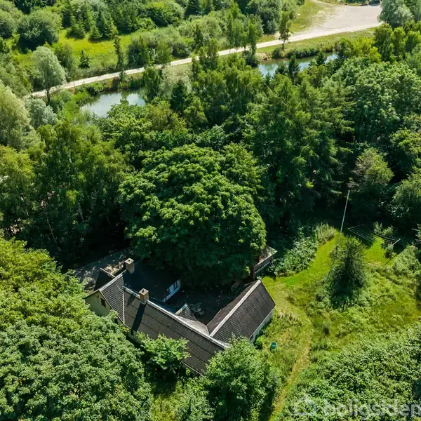 Hus skjult i tæt skov, set fra oven. Træer omringer bygningen i frodig natur tæt på en vej med en lille vandløb i nærheden.