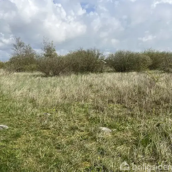En ensom træpæl står i forgrunden af en vidstrakt eng med højt, tørt græs, omkranset af lave buske under en skyet himmel.