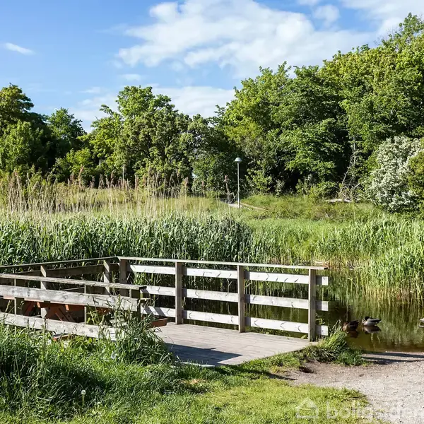 En træbro fører over en lille dam omgivet af højt siv og frodige træer. Sollys oplyser stien ved siden af broen en sommerdag.