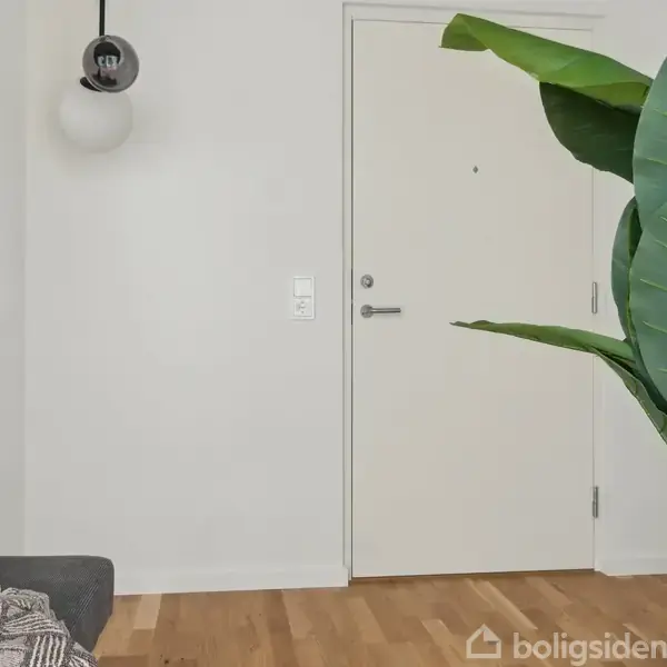 En stue med en hvid dør midtfor, omgivet af en stor grøn plante til højre, en grå bænk med pude til venstre, og en rund vægspejl bagved.