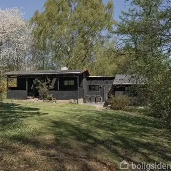 Sort sommerhus omgivet af græsplæne og tæt bevoksede træer og buske, beliggende i en frodig skovmiljø. Træer blomstrer, og det giver en idyllisk og rolig atmosfære.