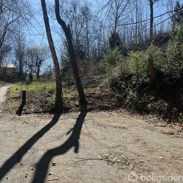 En grussti løber gennem en skovklædt park, med nøgne træer og buske langs kanten. Sollys kaster lange skygger på stien, og en klar blå himmel ses over træerne.