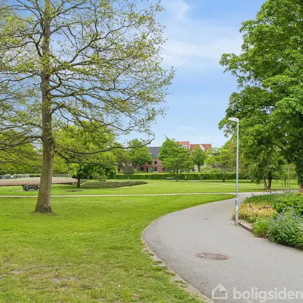 En bugtet sti løber gennem en frodig, grøn park med høje træer på begge sider. I baggrunden ses en bygning omgivet af græsplæner og buske under en klar himmel.