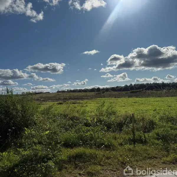 Græs og jord ligger ubevægelige på en åben plads omgivet af træer under en himmel med spredte skyer. Tæt på er der flisebelægning.
