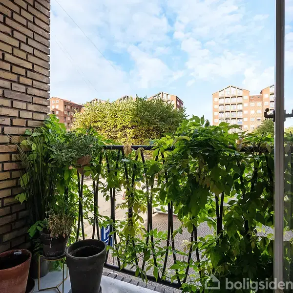 En balkon med planter i potter står stille ved gelænderet. I baggrunden ses en række træer og bygninger mod en blå himmel med skyer.