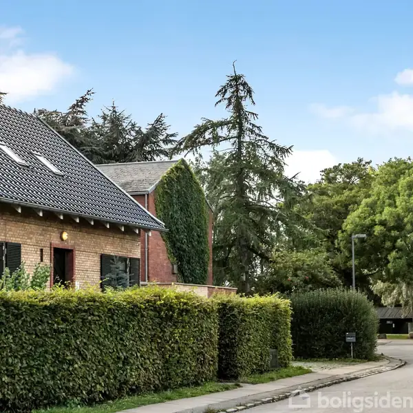 Et murstenshus med skråt tag er omgivet af en veltrimmet hæk. Naboens hus er dækket af grønne vinstokke. I baggrunden ses høje træer under en klar blå himmel.