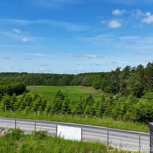En asfalteret vej løber langs forgrunden, mens frodige grønne marker og skove strækker sig ud i horisonten under en klar blå himmel med spredte skyer.