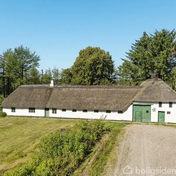 Stråtækt, hvidmalet landhus står roligt i en frodig, træomgivet have med grusvej foran.