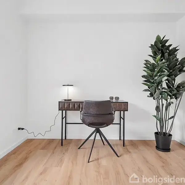 Et skrivebord med en lampe og to kopper står i et lyst rum med trægulve. Ved siden af bordet står en stor stueplante i en sort potte.