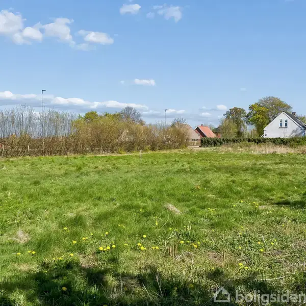 En grøn mark med spredte gule blomster under en blå himmel. I baggrunden ses en hvid bygning med rødt tag. Omkring marken er der buskads og træer.