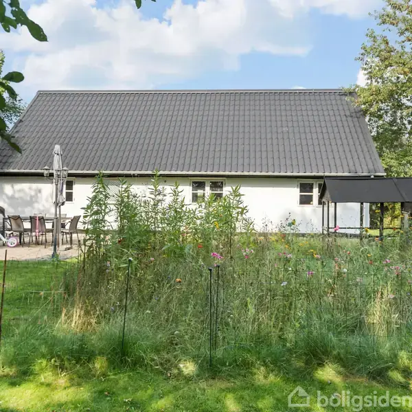 Hus med gråt tag står i forhaven omgivet af høje vilde blomster. Ved siden af står der havemøbler og en grill på en terrasse. Omkranset af grønt.