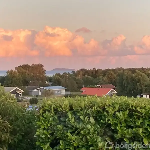Skyer farvet af solnedgang svæver over et landskab med huse og frodige træer. Forgrunden domineres af en grøn hæk, der indrammer det naturskønne sceneri.