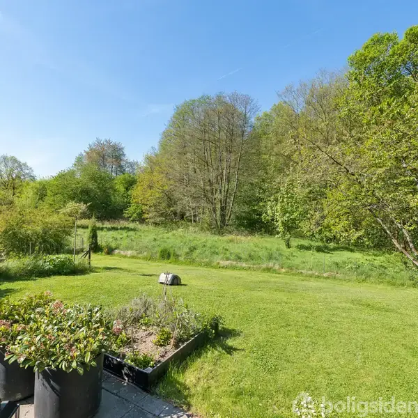En grøn græsplæne med blomsterkrukker står i en velplejet have, omkranset af frodige træer, under en skyfri, blå himmel.