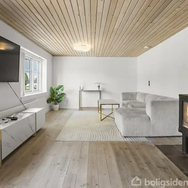 Stue med moderne indretning; en stor sofa står i hjørnet ved siden af et brændeovn, der er tændt. Et fladskærms-tv hænger på væggen, og et plant står ved vinduet.